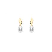 9K Gold Pearl Ellipse Earrings image