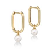9ct Yellow Gold Rectangular Hoop Earrings with Fresh Water Pearls image