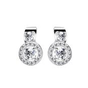 Newbridge Petite Cubic Zirconia Earrings image