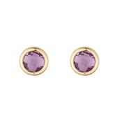 9K Gold Round Amy Studs image