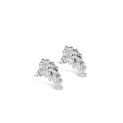 Newbridge Magical Garden Earrings image
