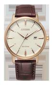 CITIZEN ECO-DRIVE CHANDLER