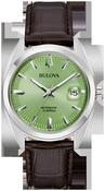 Bulova Surveyor