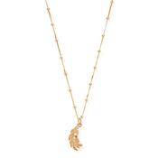 ChloBo Bobble Chain Feather Heart Necklace in Gold image