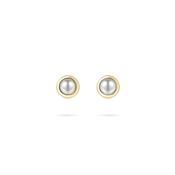 Gisser Gold Plated Rubover Pearl Stud Earrings