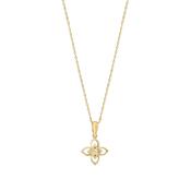 9k Gold Mother Of Pearl And Cubic Zirconia Circle Pendant image
