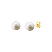9K Gold Noriko Pearl Stud 7/7.5mm
