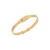 Gold Plated Baby Bangle Cubic Zirconia Set ID Plate
