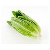 Cos Lettuce image