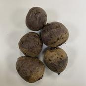 Organic Beetroot image