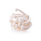White Shimeji Mushrooms - 150g image