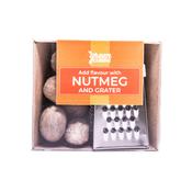 Green Cuisine Nutmeg And Grater