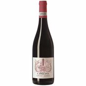 Bodegas Nodus 'Capellana' Tinto