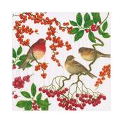 Caspari Birds and Berries Napkins image