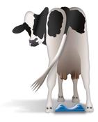Ambic Cow Locator