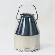 Stainless Steel Dump Bucket (30 Litre) image