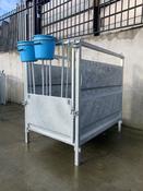 Condon Individual Calf pens