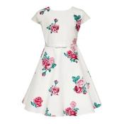 Ivory/Pink Confirmation Dress Style 36B/SM/20 image