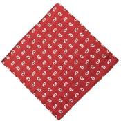 ONE VARONES RED/WHITE FIRST HOLY COMMUNION/SPECIAL OCCASION BOYS HANDKERCHIEF STYLE 10-08027  200