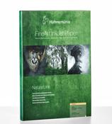 Hahnemuehle Bamboo 290gsm