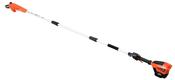 Echo DPPF-310 40V Battery Pole Saw/Pruner image