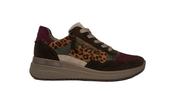 Ara Garda Ladies Wedge Laced Shoe 57702-27 image