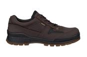 ECCO Track 25 Men’s GORE-TEX Waterproof Walking Shoe 833384
