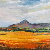 Croagh Patrick