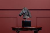 The Medici Riccardi Horse image
