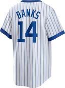 Nike Men's Chicago Cubs Banks Official Cooperstown Jersey image