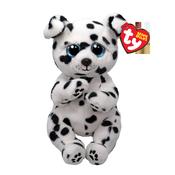 Rowdy SPOTTED DALMATIAN