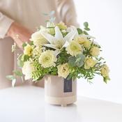 Special Neutral Arrangement image