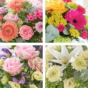 Special Surprise Design Arrangement image