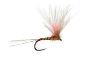 JUGLARET'S RED FLASH MAYFLY IMAGO image