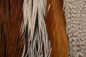 Ewing Dry Fly Cape