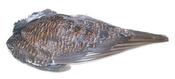 Veniard Grouse Wings