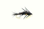 Stonefly Creeper Black image
