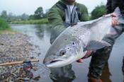1 Day Spey Casting &amp; Salmon Course 2026