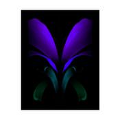 Samsung Galaxy Z Fold2 5G Repair image