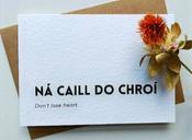 Ná caill do chroí - Don't lose heart image