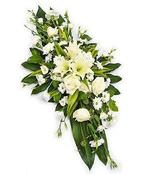 White Double Ended Spray. image