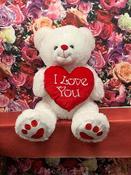 Large Teddy 80cm