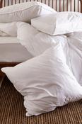 Foxford Square Pillow image