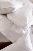 Foxford Deep Wall Feather and Down Pillow image