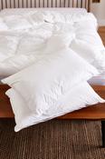 Foxford Tummy Sleeper Twin Pack Pillow image