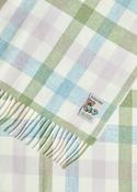 Foxford Pastel Check Lambswool Baby Blanket image