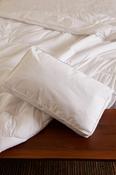Foxford Deep Wall Pillow image