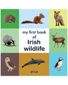 My First Book of Irish Wildlife- Children's Book image