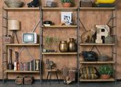 Shelf Iron image