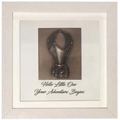Genesis Hot Air Balloon Occasion Frame